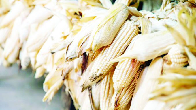 Delayed rainfall impacts farmers’ livelihoods