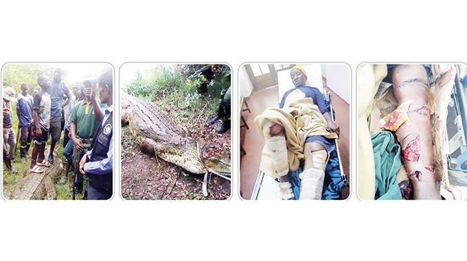 HEROIC BROTHERS SAVE WOMAN AFTER CROC ATTACK