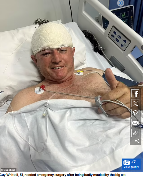 Former top-class cricketer cheats death after he is attacked by a leopard