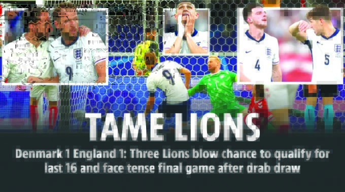 TAME LIONS