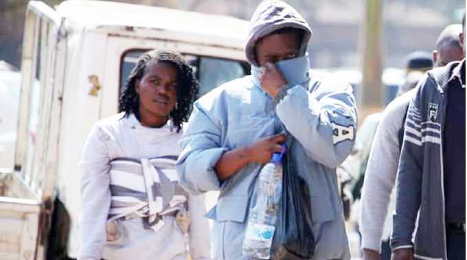 Zimbabwe Leaf Company finance clerk up for fraud