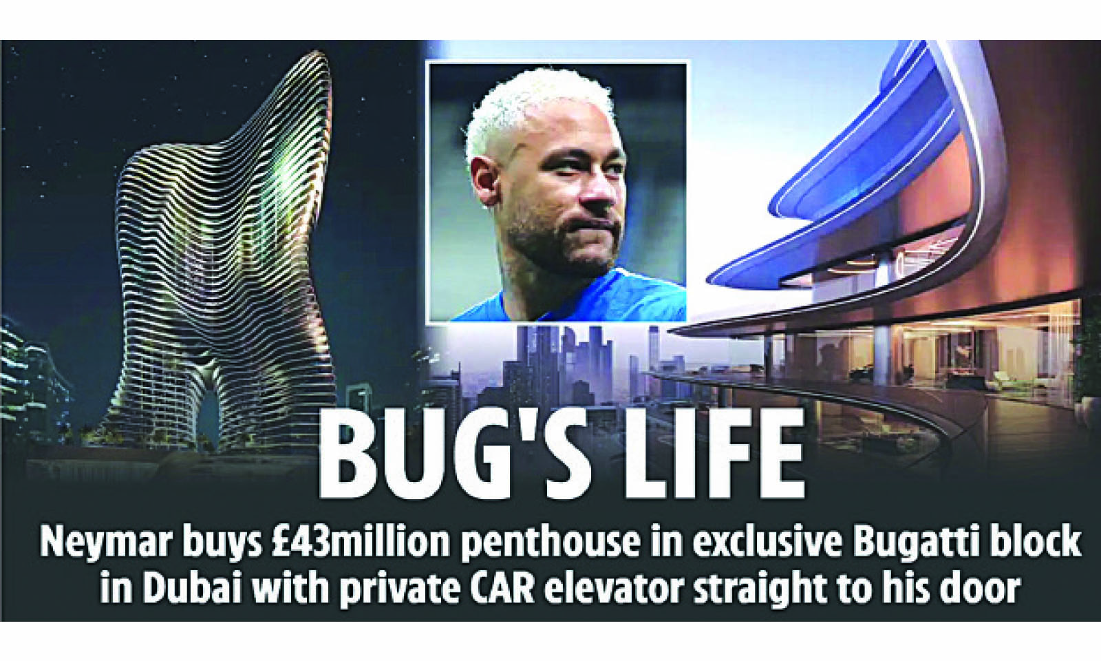 BUG’S LIFE