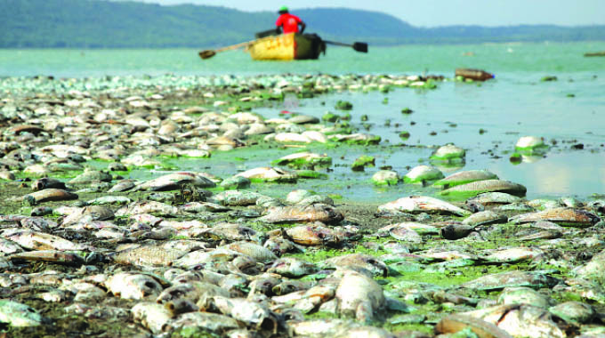 IT’S TIME FOR ACTION, LET’S SAVE LAKE CHIVERO, SAYS MAFUME
