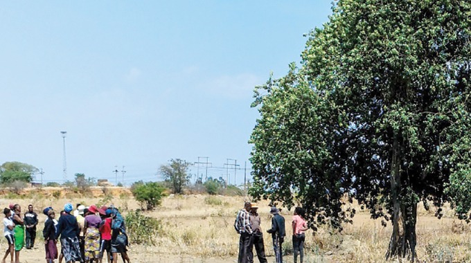 Confronting taboos of suicide: The ritual of cutting down suicide trees