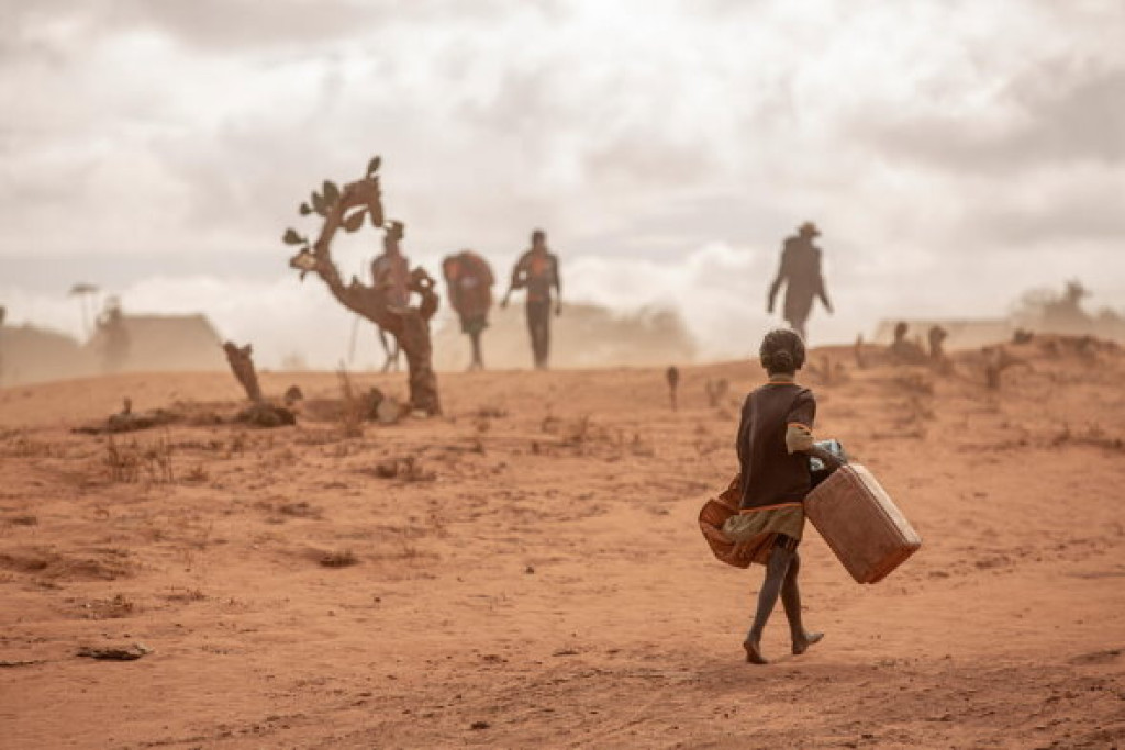 World Food Programme (WFP)