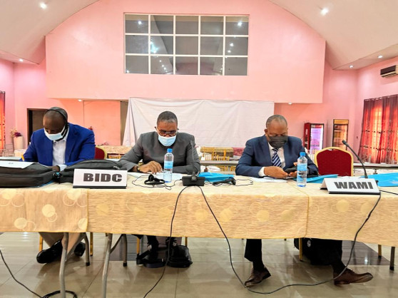 Economic Community of West African States (ECOWAS)