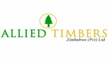 Allied Timbers duo in the dock for fraud