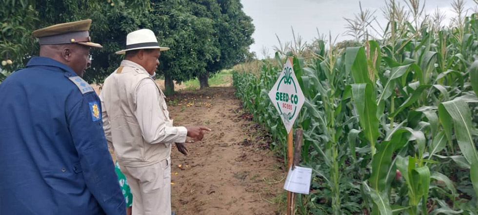 Minister Masuka (right) being shown a thriving Pfumvudza maize crop belonging to Mrs Tambudzai Nyagwaira (communal farmer) in Buhera recently