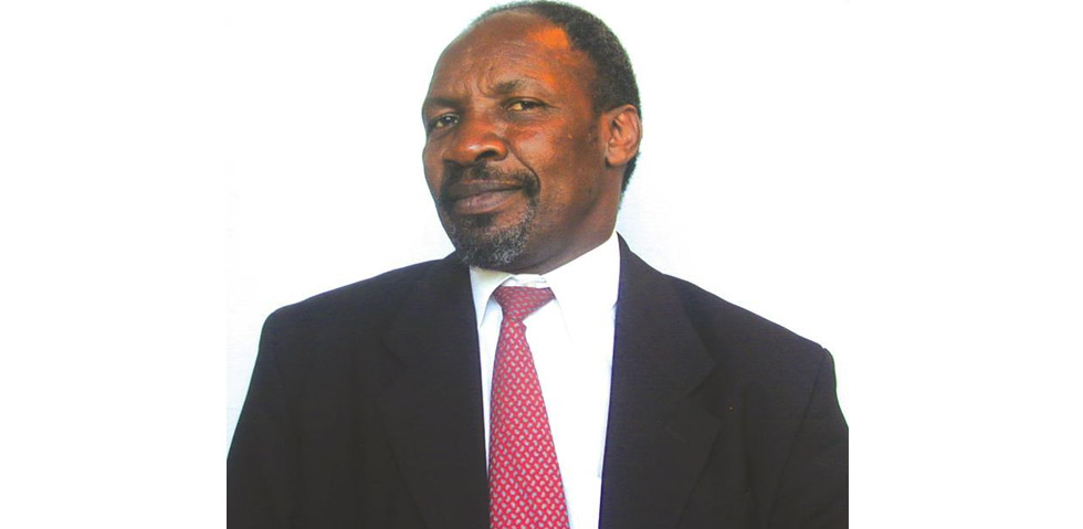 Chigudu declared national hero