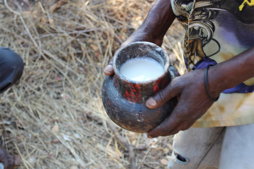There are various types of the clay pots used for various purposes such as cooking (hadyana, mbiya, rwenga) and for storage (mbidziro, hodzeko, hwedza, gate)
