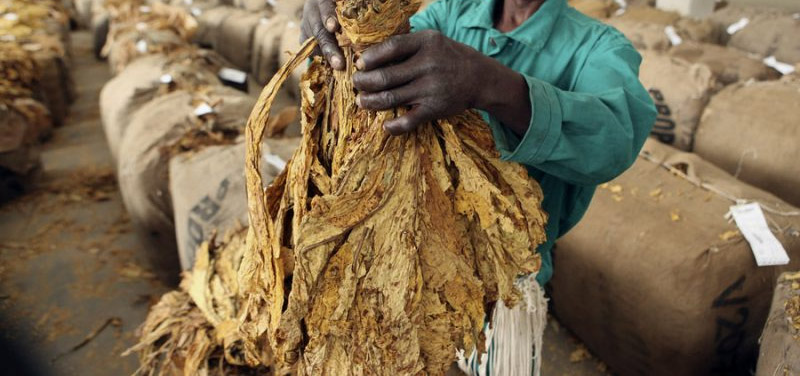 In the tobacco industry, licences are issued by TIMB to ensure that all stakeholders operate in compliance with the laws, regulations, and industry standards