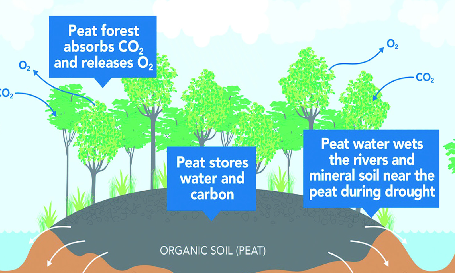Protecting peatlands a win-win solution