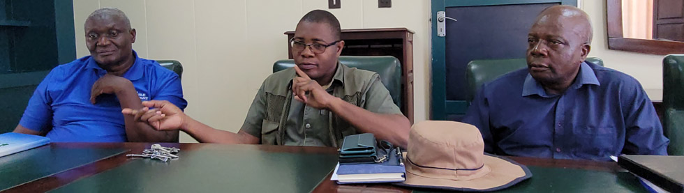 Timber poachers get jail term