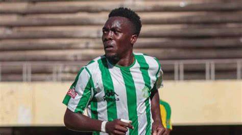 Manondo joins Simba Bhora