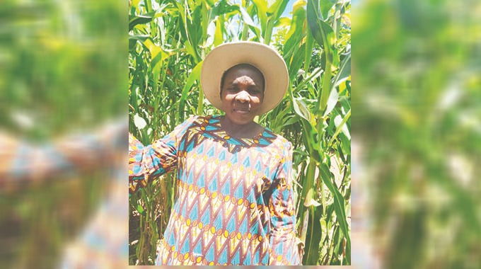 Farmer deploys drones to combat devastating armyworm