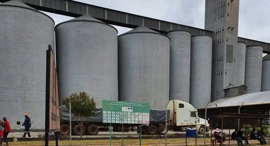One of the critical components of the food system is grain storage, which plays a vital role in ensuring the availability of nutritious food