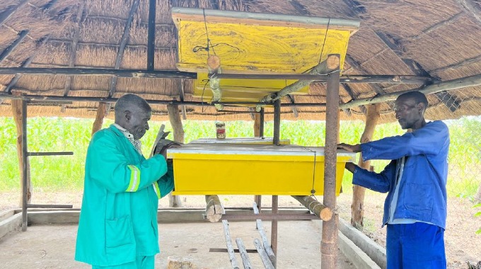 Beekeeping: A sustainable livelihood for forest, environment and climate resilience