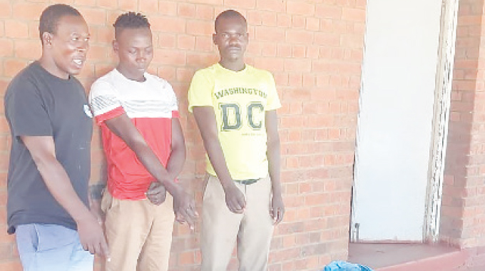 Kubotshwe amasela enkomo 3 abesehluphile