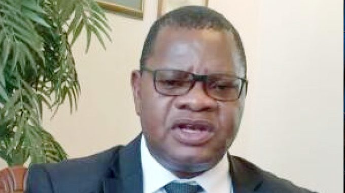 Zimbabwe to review seed certification frameworks to align with global standards