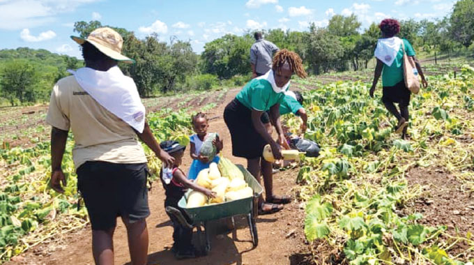 Wetland project transforms villagers’ lives