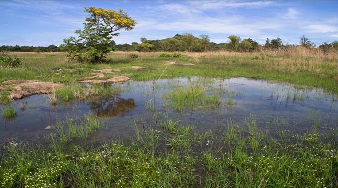 Zimbabwe’s wetlands under threat