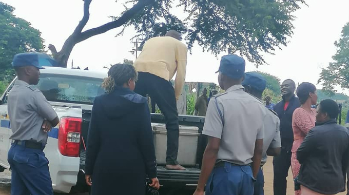 Woman jumps to death