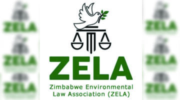 Zela calls for stronger wetland protection policies