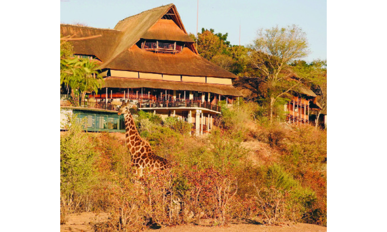 Zim tourism sector hails Govt on reduction of fees, levies