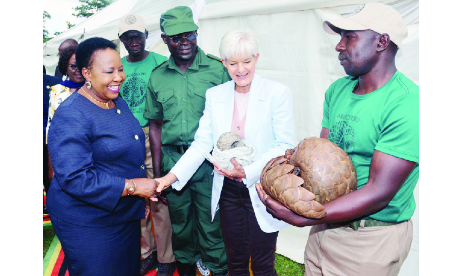 Call to scale up funding for conservation, sustainable use of wildlife