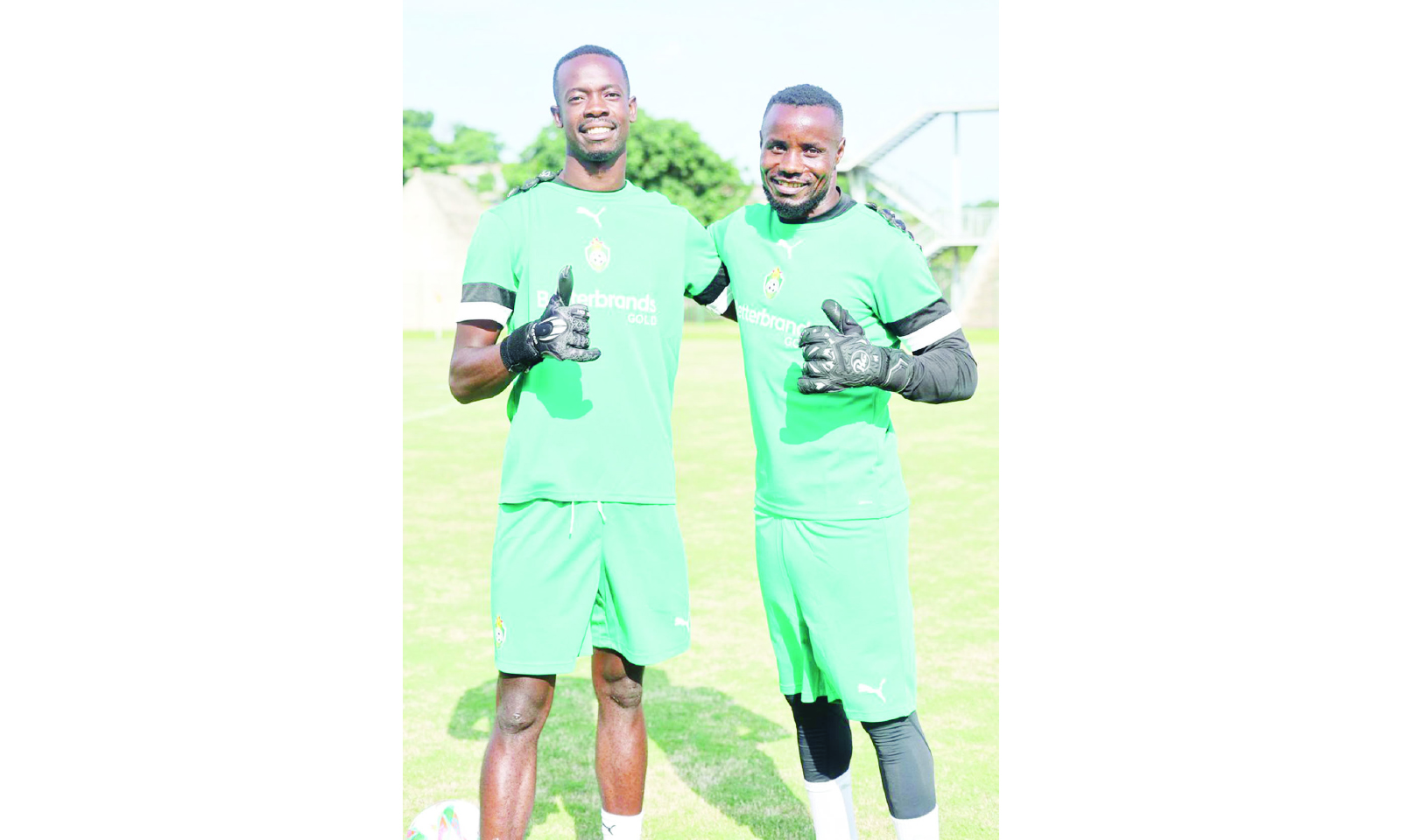 Warriors hunt Benin Cheetahs