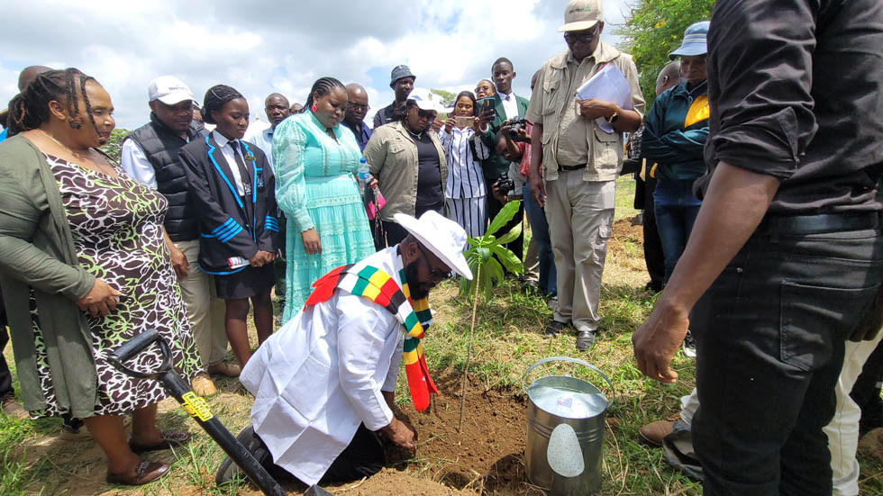 Indaba on cards over alarming deforestation, veld fires