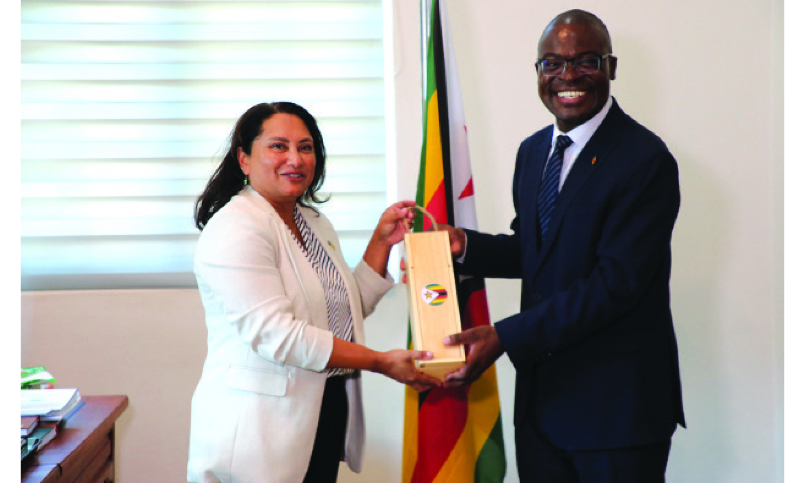 Japan, Australia, Zim strengthen economic ties ahead of key events