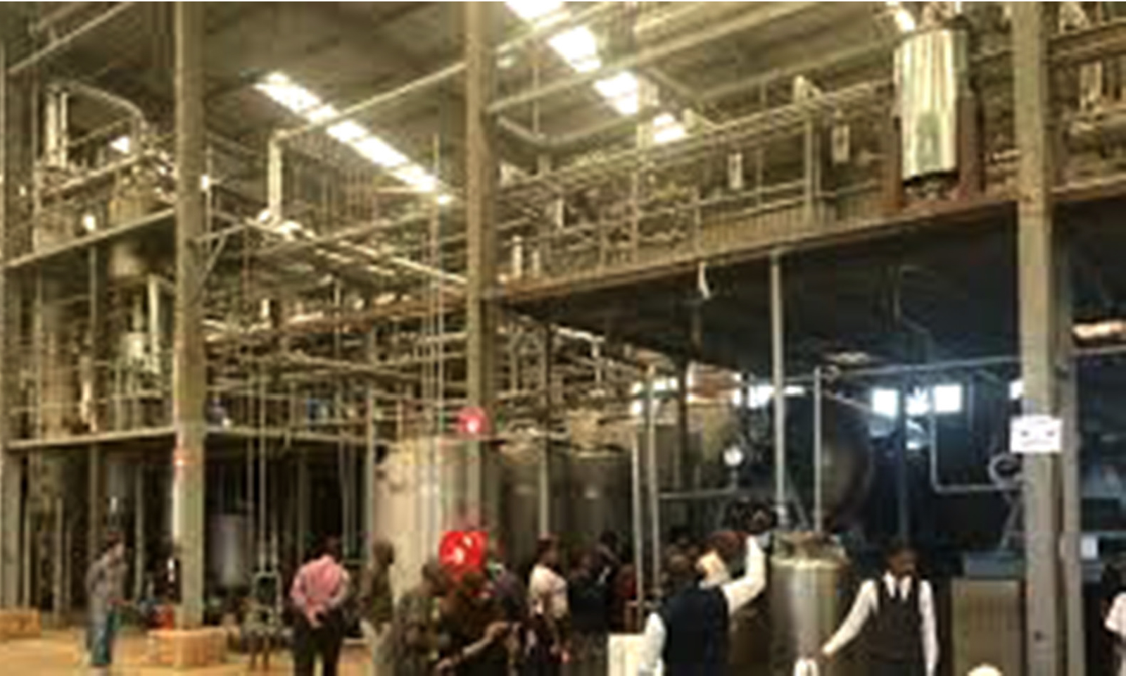 Zim to benefit from multimillion tobacco waste processing plant
