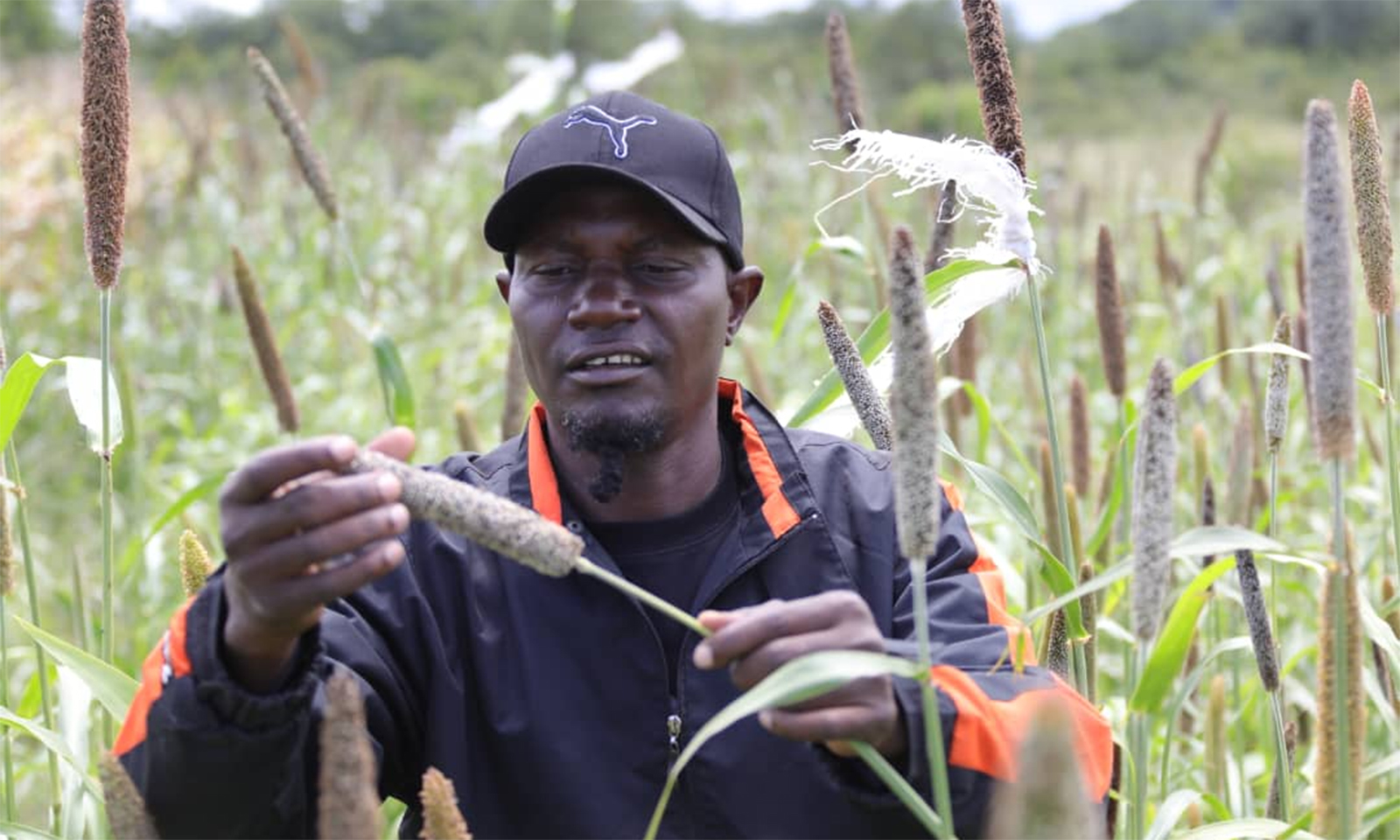 Zvishavane miner strikes gold in farming