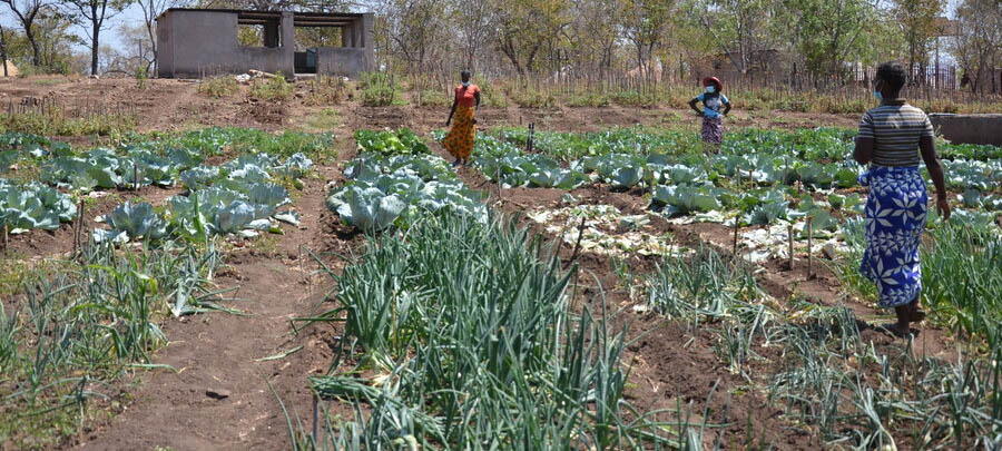Climate change disproportionately affects women