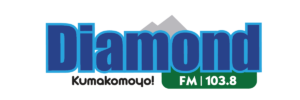 Diamond FM at 10: Zimpapers Driving Growth & Impact