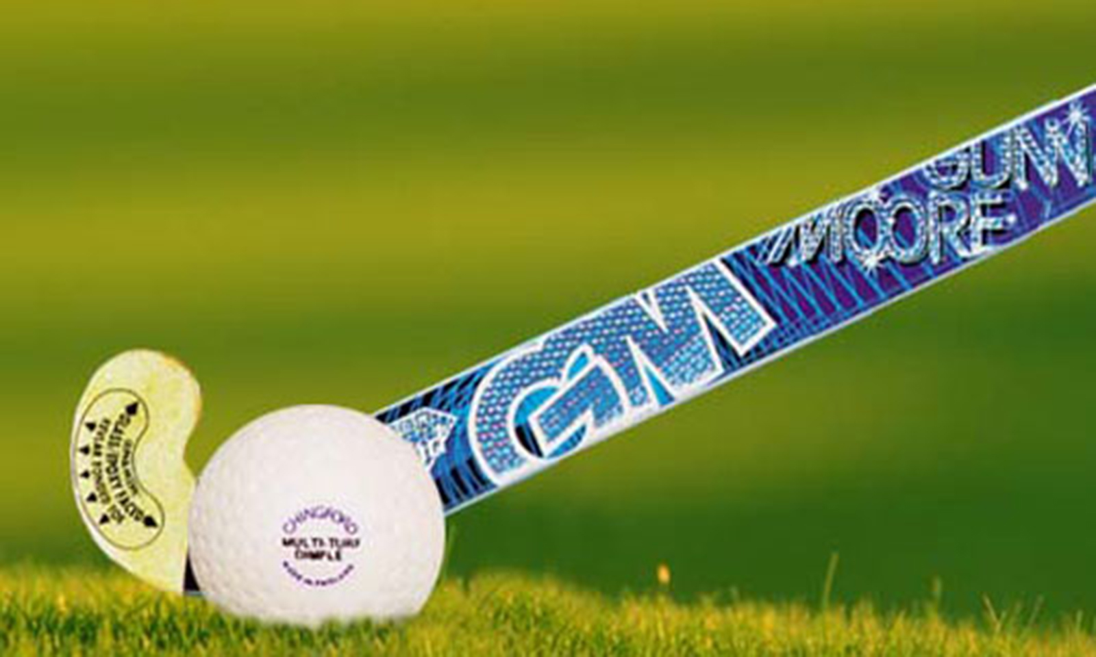 Hippo Valley dominate hockey league