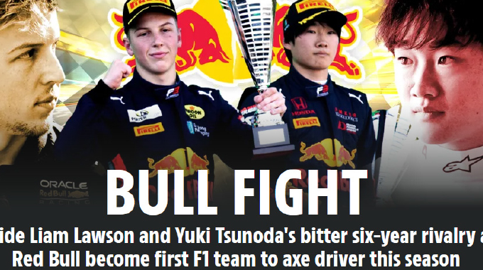 Bull Fight