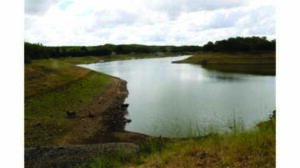 Lower Ncema