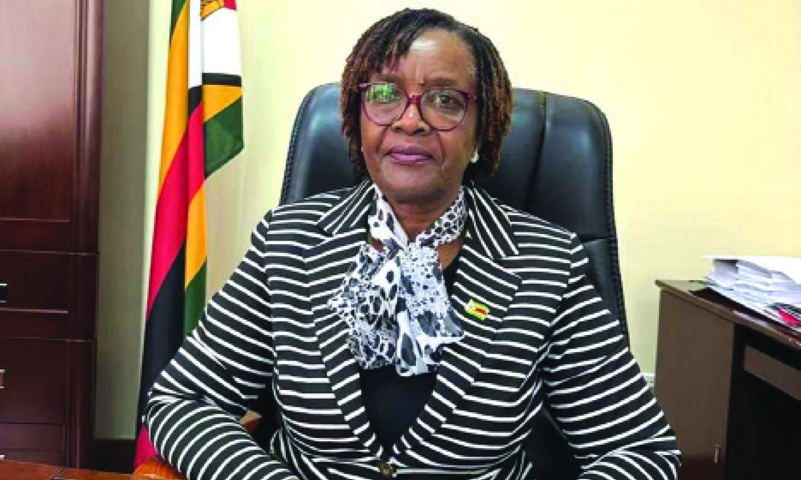Amb Shoniwa calls for adequate awareness on Chinese scholarships