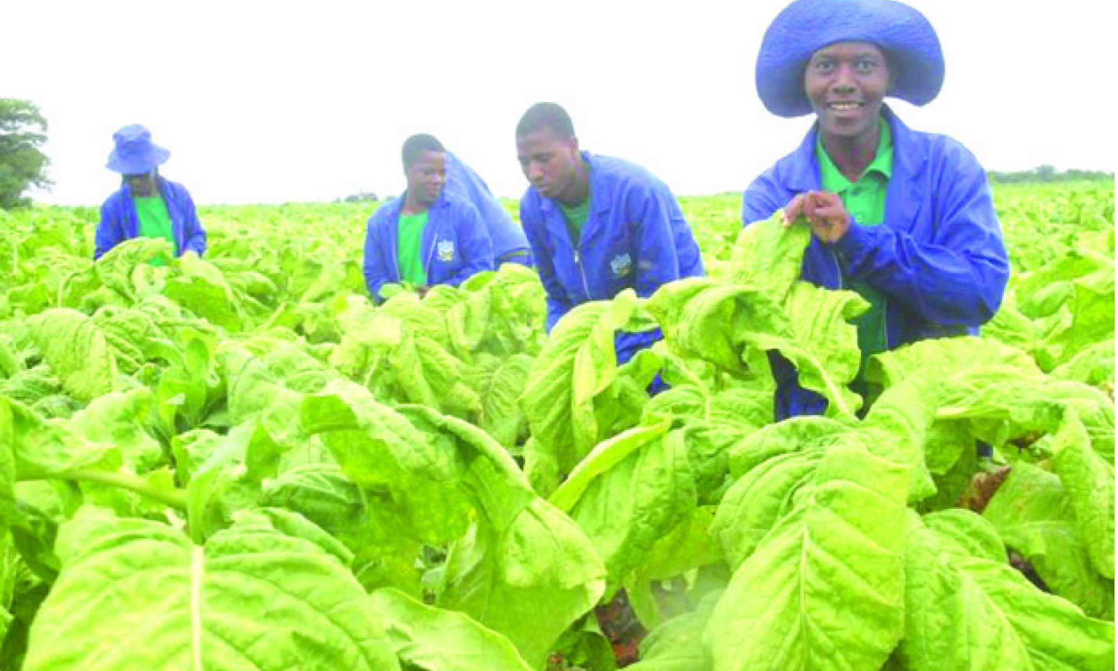 Restoring dignity, respect to the farming profession