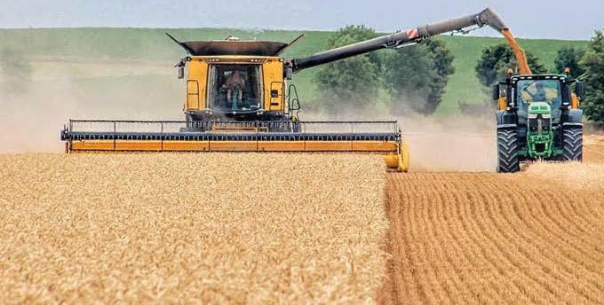 Farmers anticipate bountiful grain harvest