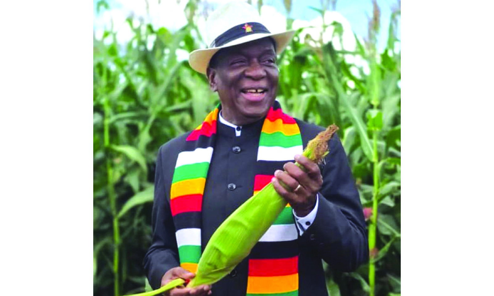 Maize harvest to exceed national requirements