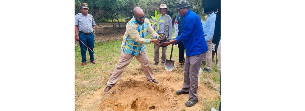 Minister of State for Manicaland Provincial Affairs and Devolution, Advocate Misheck Mugadza plants a tree on the sidelines of the CBT Conference in Buhera recently