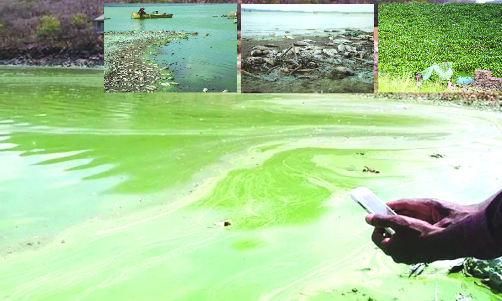‘Harare continues discharging 250m litres of raw sewage into Lake Chivero’