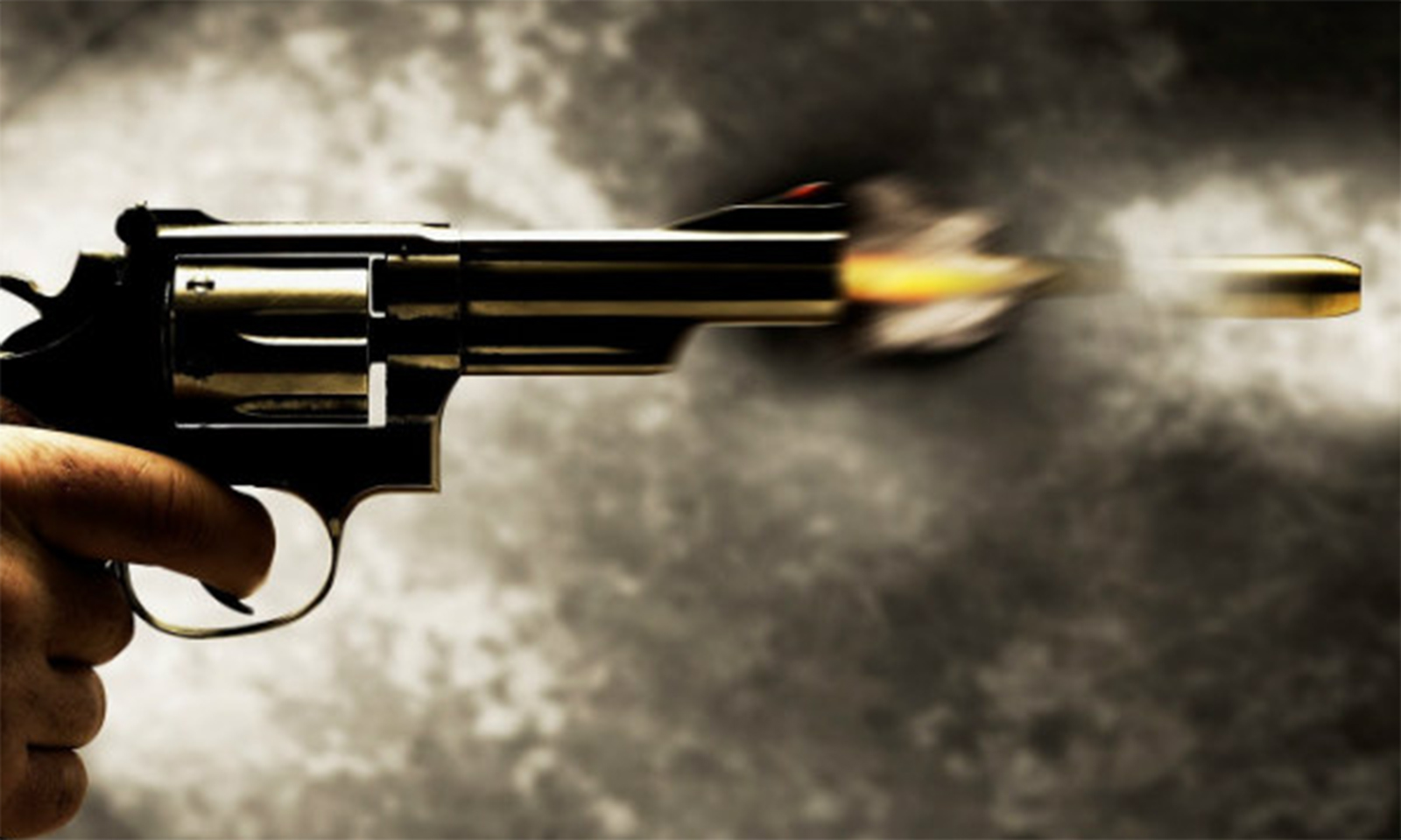 Two Bulawayo cop killers shot dead