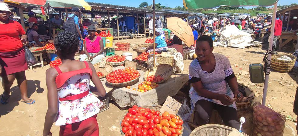 At Mwamuka Vegetable Farmers Market in Sakubva, vendors from different suburbs packed the market, buying produce from farmers for resale at their stalls. - Picture: Tinai Nyadzayo