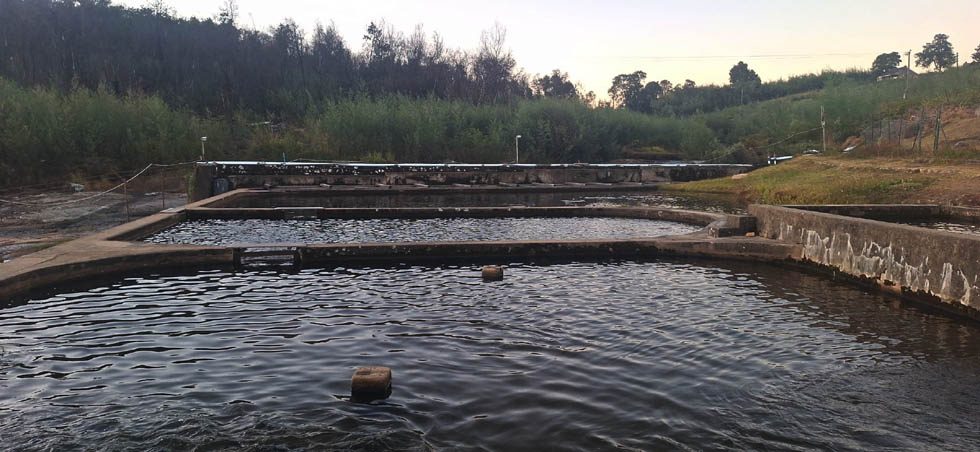 All set for the official launch of the US$500 000 Matobo hatcheries