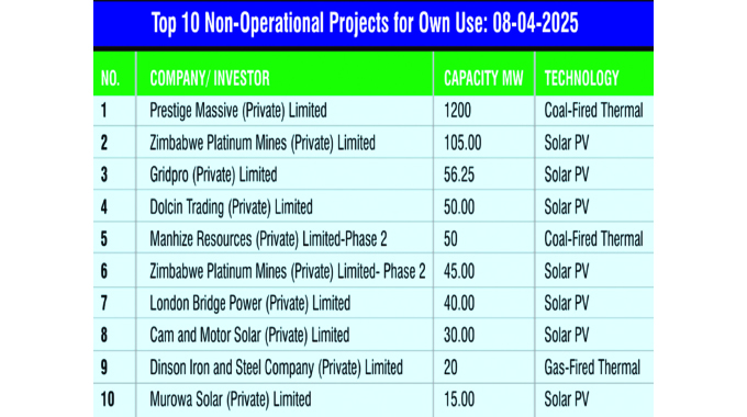 Private sector intensifies renewable energy investments for self-sufficiency
