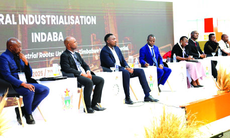 Rural industrialisation key to unlocking Manicaland’s potential